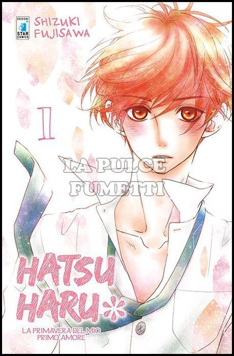 AMICI  - HATSU HARU 1/13 COMPLETA NUOVI