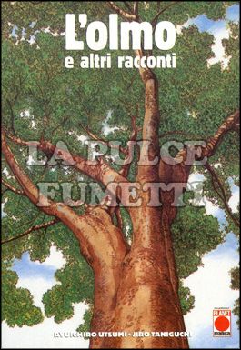 L'OLMO E ALTRI RACCONTI