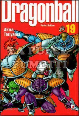 DRAGON BALL PERFECT EDITION #    19