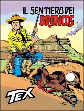 TEX GIGANTE #   188: IL SENTIERO DEI BRONCOS