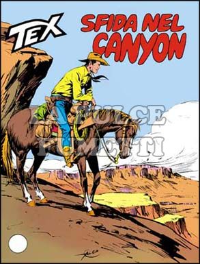 TEX GIGANTE #   247: SFIDA NEL CANYON