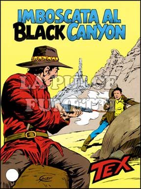 TEX GIGANTE #   318: IMBOSCATA AL BLACK CANYON