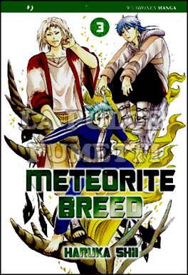 METEORITE BREED #     3