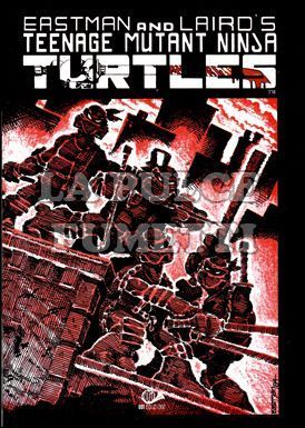 TEENAGE MUTANT NINJA TURTLES #     1