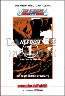 BLEACH: CRONACHE DALL'ALDILA - ROMANZO