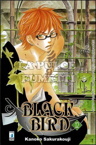 AMICI #   169 - BLACK BIRD 12
