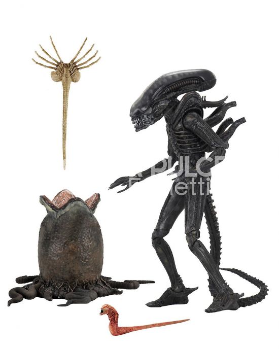 ALIEN BIG CHAP ULTIMATE 40TH EDITION