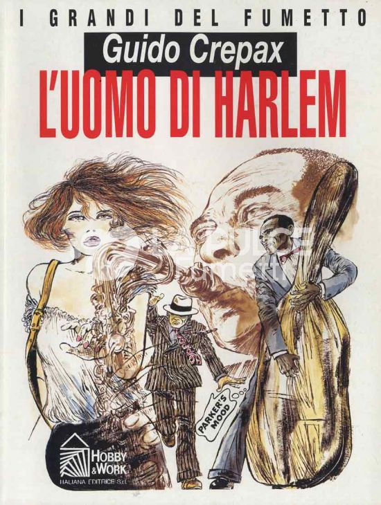 I GRANDI DEL FUMETTO : L' UOMO DI HARLEM