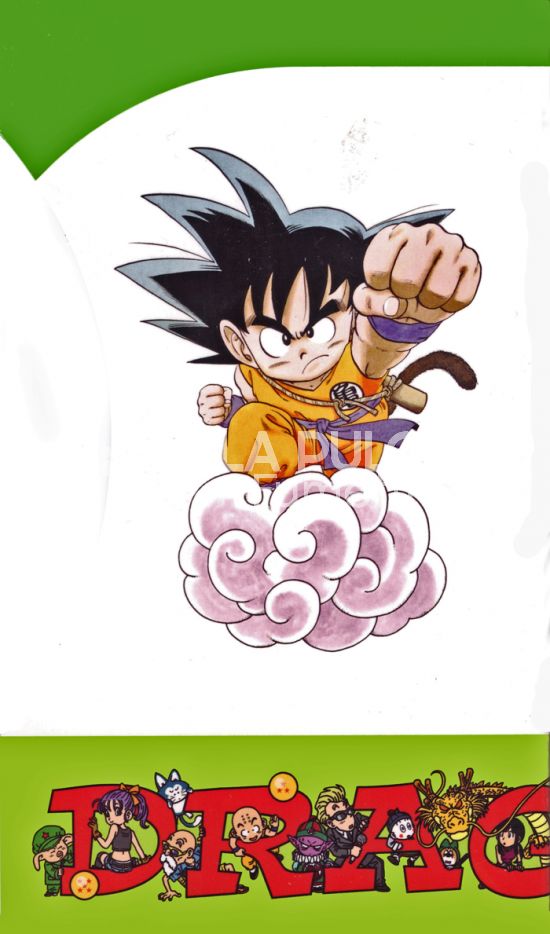 STAR COLLECTION #    21 - DRAGON BALL COLLECTION 6 - DRAGON BALL EVERGREEN VOLUMI 31-32-33-34-35-36