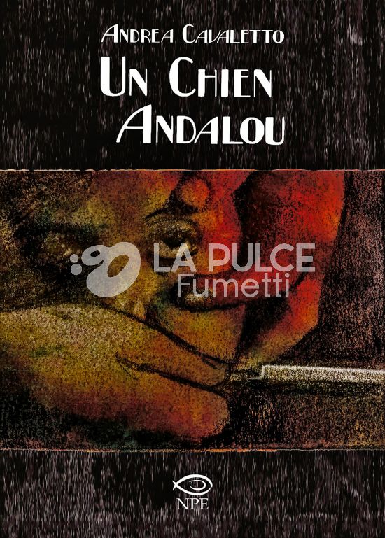 UN CHIEN ANDALOU