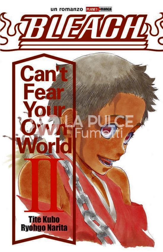 BLEACH: CAN'T FEAR YOUR OWN WORLD #     2 - ROMANZO