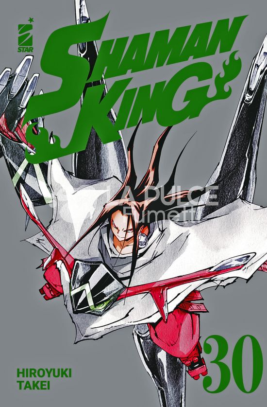 SHAMAN KING  FINAL EDITION #    30