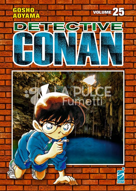 DETECTIVE CONAN NEW EDITION #    25