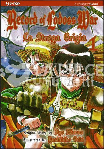 RECORD OF LODOSS WAR - LA STREGA GRIGIA 1/3 COMPLETA NUOVI