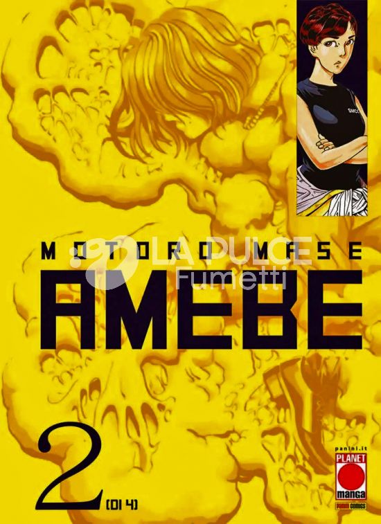 AMEBE #     2