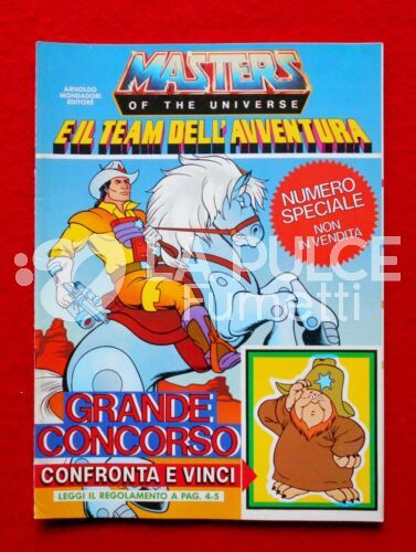 MASTERS OF THE UNIVERSE  E IL TEAM DELL'AVVENTURA  USATO