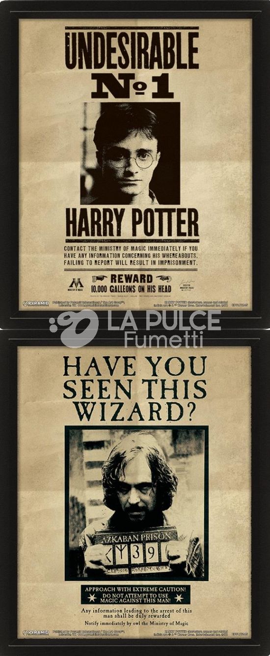 HARRY POTTER SIRIUS 3D LENTICULAR 3D POSTER 25X20CM