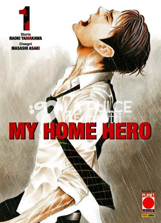 MY HOME HERO #    20