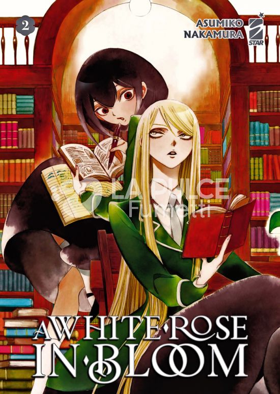 QUEER #    95 - A WHITE ROSE IN BLOOM 2