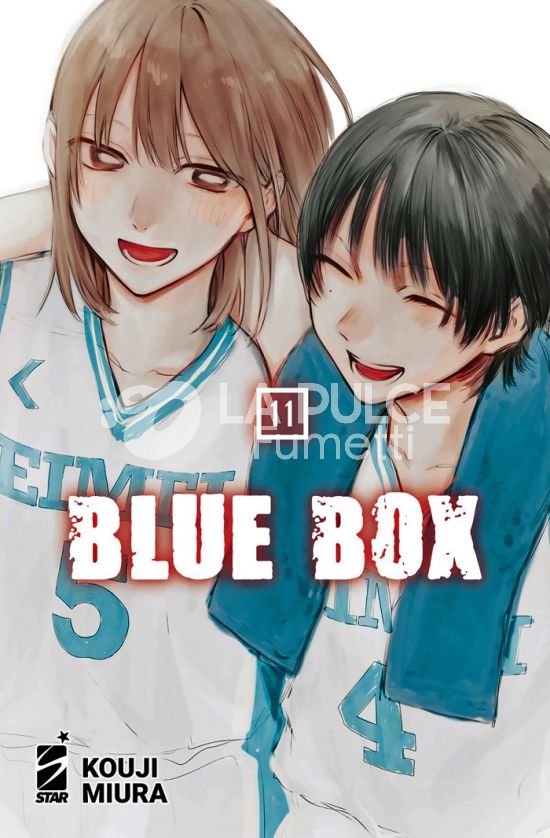 UP #   242 - BLUE BOX 11
