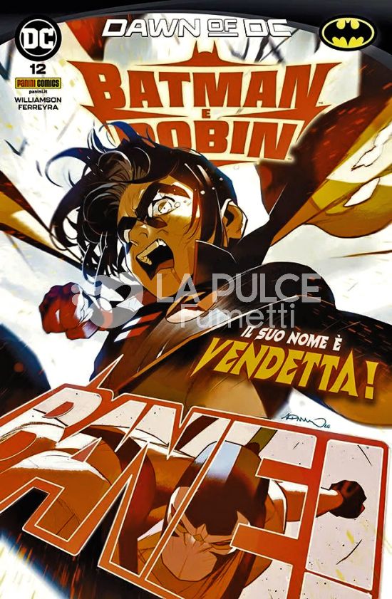 DC SELECT #    28 - BATMAN E ROBIN 12 - DAWN OF DC