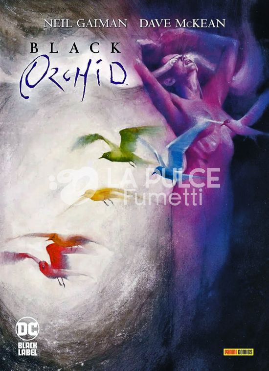 DC LIMITED COLLECTOR’S EDITION - BLACK ORCHID