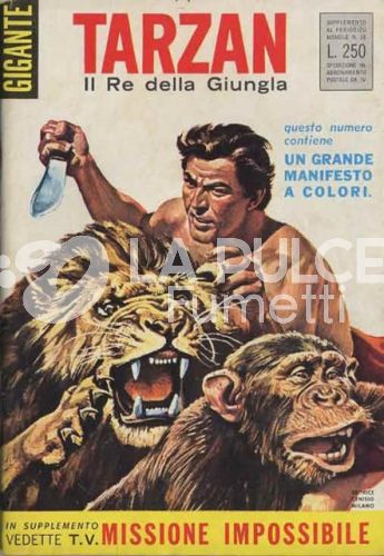 TARZAN GIGANTE PRIMA SERIE #     1