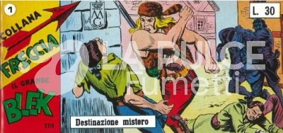 IL GRANDE BLEK - COLLANA FRECCIA ANASTATICA : 24A (XXIV) SERIE A STRISCE 1/21 COMPLETA ( 484/504 )