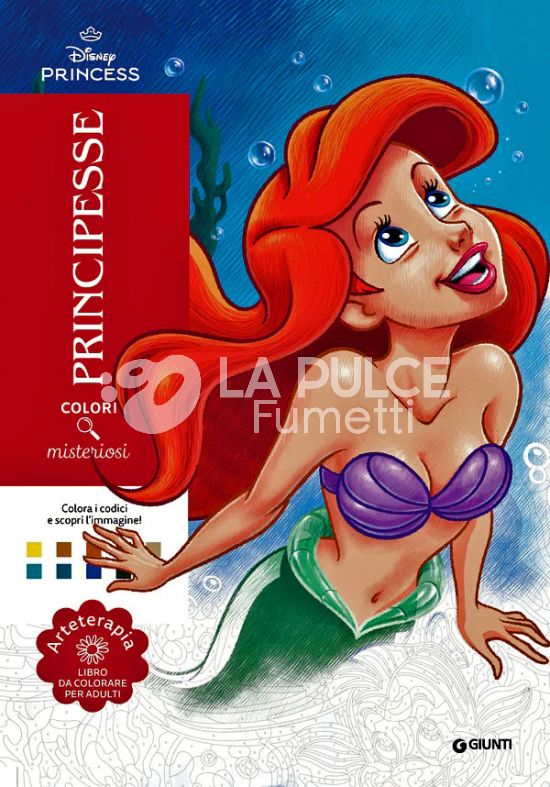 COLORI MISTERIOSI - PRINCIPESSE DISNEY