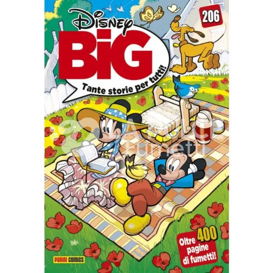 DISNEY BIG #   206