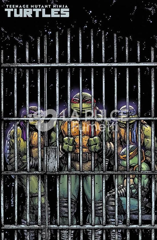 TEENAGE MUTANT NINJA TURTLES - 2A SERIE # 11 - VARIANT