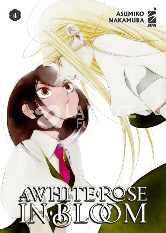 QUEER LABEL # 36 - A WHITE ROSE IN BLOOM 4