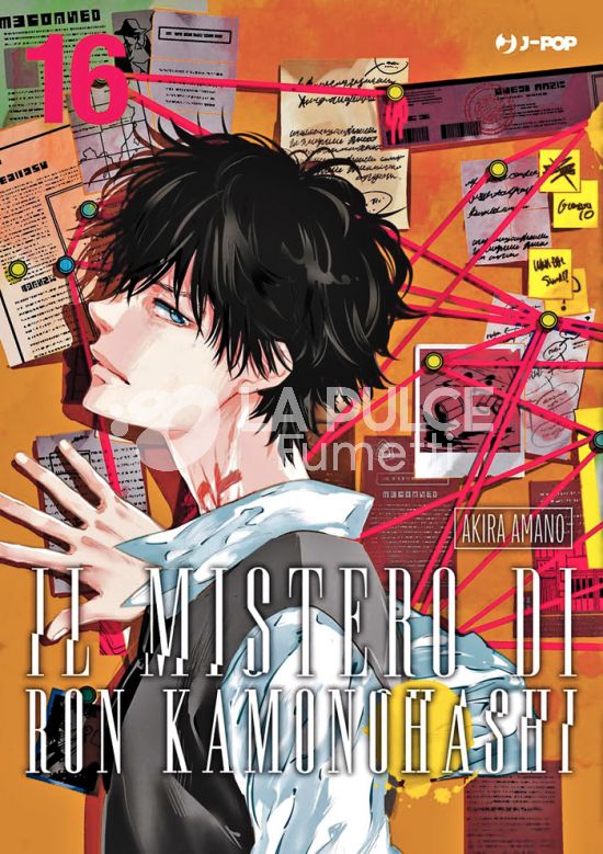 IL MISTERO DI RON KAMONOHASHI #    16