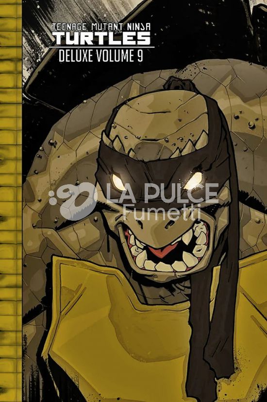 TEENAGE MUTANT NINJA TURTLES DELUXE #     9