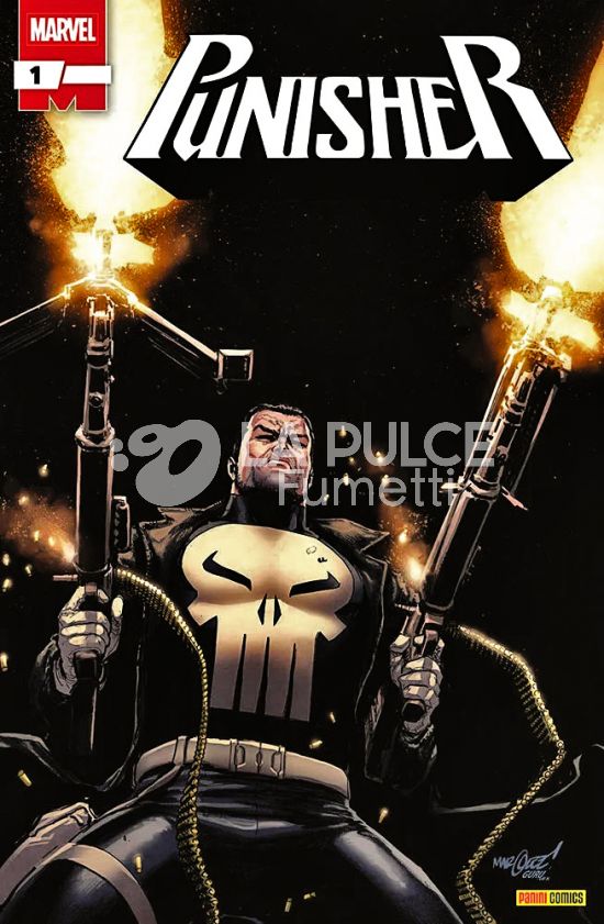PUNISHER - 2A SERIE # 1