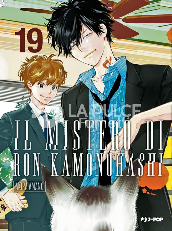 IL MISTERO DI RON KAMONOHASHI # 19