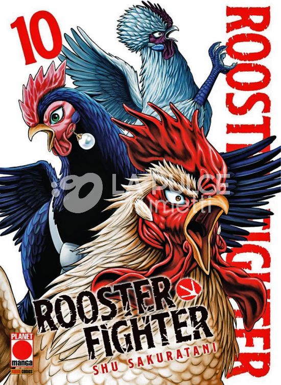 ROOSTER FIGHTER # 10