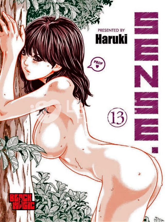 SENSE #    13 - VARIANT